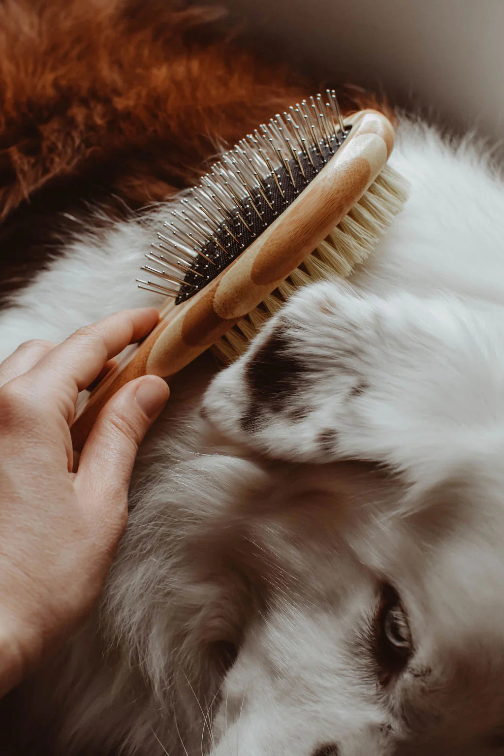 Bamboo dog brush best sale