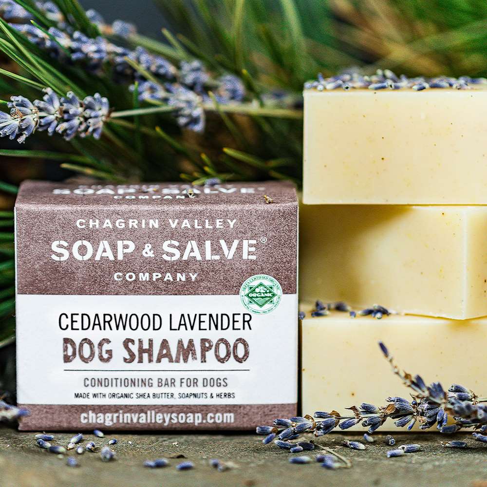 Dog Shampoo Bar