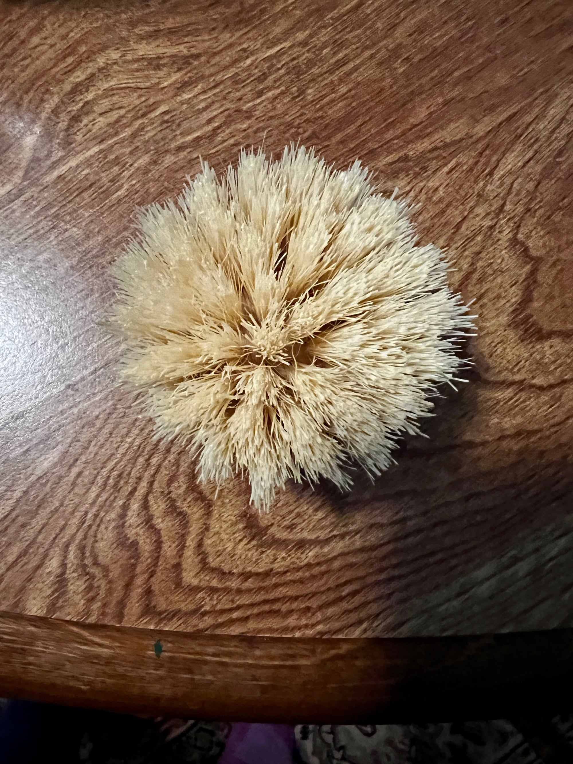Bamboo and Sisal Pot Brush Replacement Head